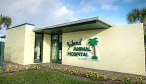 Island animal hospital on cocoa beach. Veterinarian And Animal Hospital In Brevard County Fl Island Animal Hospital