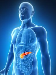 Ct scans are often used to diagnose pancreatic cancer because they can show the pancreas fairly clearly. Pancreatic Cancer Biomarkers Optimized Core Fucosylation Detection