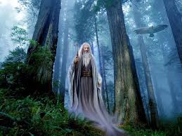 Did the Celtic Druids Worship the Darkness — Part I? ~ Mark E. Fisher
