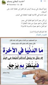Pin By The Noble Quran On I Love Allah Quran Islam The Prophet Miracles Hadith Heaven Prophets Faith Prayer Dua حكم وعبر احاديث الله اسلام قرآن دعاء In 2020 Islamic Quotes Words
