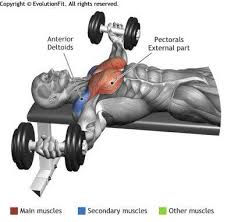 Gym Trainer Gymtrainer Tw Twitter Body Fitness Kuntosali Workout