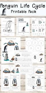 Free Penguin Life Cycle Worksheets 123 Homeschool 4 Me Penguin Life Cycle Penguin Life Penguins Kindergarten