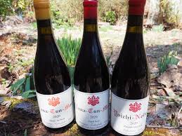 ナナツモリ ピノ ノワール