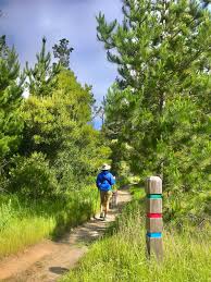 Dmff del monte forest foundation added this 1.02 acre property to indian village in 1993, accepting it as a gift from pebble beach company. Travels With The Mullallys Treking Through Pebble Beach Monterey Herald