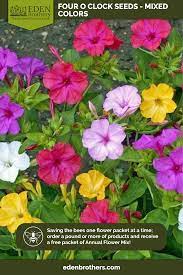 Pin On Planten