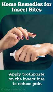 The toothpaste neutralizes the poison completely. Home Remedies For Insect Bites