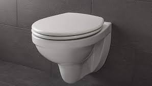 Lunette de wc clipsable personalisable. ÙÙŠ Ø§Ù„Ø®Ø§Ø±Ø¬ Ù†Ø¨ÙŠ Ø¨Ø±Ù…ÙˆØ¯Ø§ Lunette Toilette Clipsable Ovidsingh Com