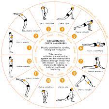 Sun salutations, or surya namaskar in sanskrit, are traditionally performed to express gratitude to the sun. Sun Salutation Yoga Routine For Beginners Morning Yoga Morning Yoga Routine