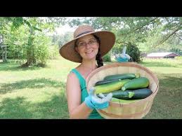 A cup of coffee in the us is usually 4 fluid ounces (118 ml), brewed using 5 fluid ounces (148 ml) of water. Zucchini Bread With 5 Cups Of Zucchini Using Up The Harvest Youtube