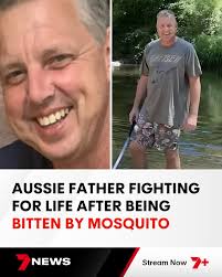 It's unimaginable to think how a bloody mosquito can do this.' 📌 MORE:  7news.link/3PpoSAe
