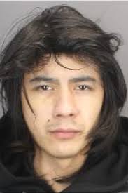 Police ask for public's help finding wanted man