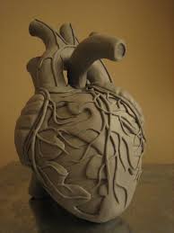 Human Heart Art Cœur Cœur Humain Coeur Organe