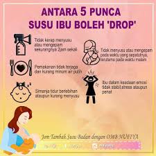 Kebanyakan ibu menyusu pasti kecewa jika gagal mengeluarkan susu yang banyak untuk bayi. Ibu Kena Kenal Pasti Punca Susu Ibu Beylla E Storeshop Facebook