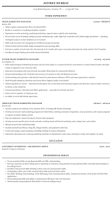We did not find results for: Trade Marketing Manager Resume Sample Mintresume