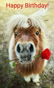 Geburtstag Geburtstag Bilder Lustig Alles Gute Geburtstag Alles Gute Zum Geburtstag Humor