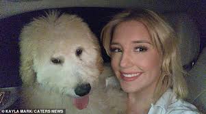 Arkansas woman shares Goldendoodle destroying his bed