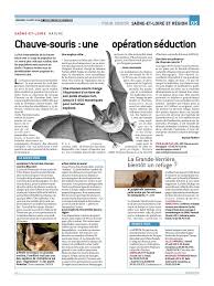 Sortir en centre.idée de sorties concerts, spectacles, culturelles dans la région centre. Chauve Souris Une Operation Seduction Chauve Souris Organismes