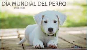 Se fundó en el año 1978 y desde el año 2011 la autoridad competente emitió el reconocimiento oficial como asociación de criadores del perro de pastor alemán (r.d. 21 De Julio Dia Mundial Del Perro Por Que Se Celebra Hoy