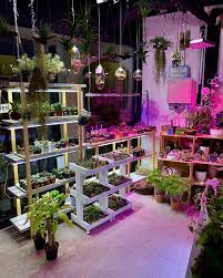 9 Boutique Plant Shops In Singapore With Aesthetic Plants Accessories To Give Your Hdb Jungalow Vibes