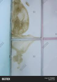 Does renters insurance cover water damage? Water Leak On Ceiling Image Photo Free Trial Bigstock