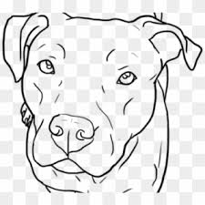 Friendly Clipart Pitbull Dibujos De Perros Pitbull Hd Png Download 640x960 274321 Pngfind Todos son carinosos, amables y muy juguetones. perros pitbull hd png download