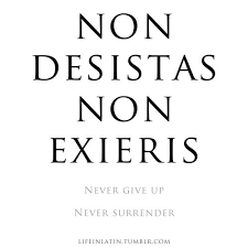 Became a ongoing joke for foregoing logic and forging ahead with little plan Never Give Up Never Surrender Latin Quote Tattoos Short Quote Tattoos Latin Quotes