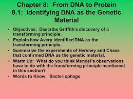 Transmits messages that are translated into proteins. Chapter 8 From Dna To Protein 8 Ppt Download