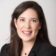 Gillian Evans, WiSe Initiative