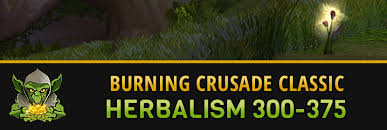 These herbs are used for a variety of different uses such as creating both flasks and potions from alchemy. Burning Crusade Classic Herbalism 300 375 Professions Goldgoblin Net