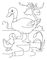 Show your kids a fun way to learn the abcs with alphabet printables they can color. Duck Coloring Pages Best Coloring Pages For Kids