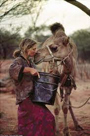 Camel milks pasteurisation method protects nutrients: Pin On Bote