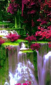 Webcams teens videos teens galleries 10 Beautiful Scenery Flower Nature Wallpaper Gif Basty Wallpaper