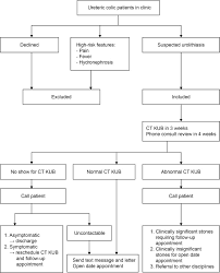 But won't people get annoyed? Implementation Of A Ureteric Colic Telemedicine Service A Mixed Methods Quality Improvement Study Urology