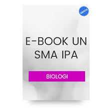 Soal un biologi tahun 2015 pembahasan soal un biologi tahun 2015 1. Ebook Soal Un Biologi Untuk Sma Ipa Bintang Wahyu