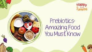 What are Prebiotics: Amazing Prebiotic Foods You Must Know - Happytummy