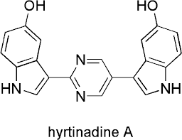 Hyrtinadine A, a Bis-indole Alkaloid from a Marine Sponge | Journal of  Natural Products