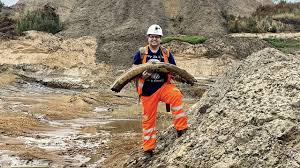 Opiniones putas zaragoza