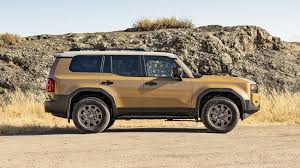 Image result for Tan 2025 Fleet