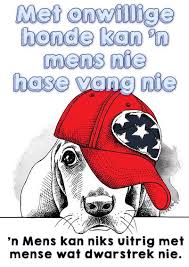 Spreekwoorde Om Op Te Plak Afrikaans Afrikaanse Quotes Afrikaans Quotes