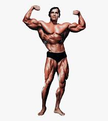 If you want to build muscle the way it was perfected by the legends of the sport, you're in the right place. Arnold Schwarzenegger Historyofbodybuilding Com Arnold Schwarzenegger Bodybuilding Png Transparent Png Kindpng