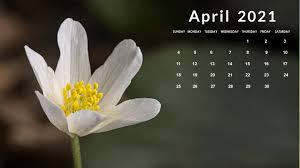 Check spelling or type a new query. Free Download April 2021 Calendar Wallpaper Desktop Laptop Computer Hd Background 1920x1080 For Your Desktop Mobile Tablet Explore 19 April Backgrounds April Wallpaper April Wallpapers Hello April Wallpaper