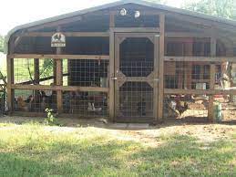 Turn A Carport Into A Barn The Owner Builder Network Chicken Coop Backyard Farming Chickens Backyard