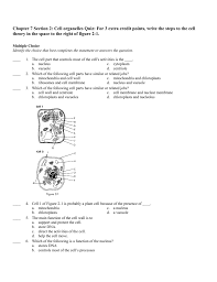 Can i label parts of a plant? Chapter 7 Section 2 Cell Organelles Quiz