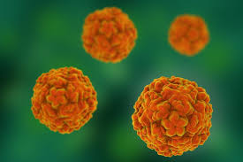 Clin infect dis, 1997, 25: Can You Die From A Common Cold