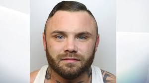 Model who filmed himself attacking two policemen and then posted footage  online is jailed