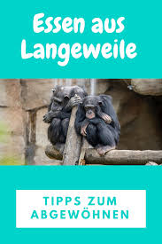 Essen Aus Langeweile Abgewohnen In 2020 Intuitiv Essen Langeweile Essen