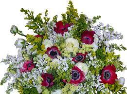 We did not find results for: Wallpaper Roses Flowers Bouquet Big Beautiful 1800x1330 Wallhaven 1089703 Hd Wallpapers Wallhere