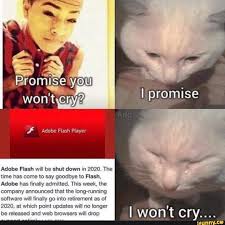 Crying cat meme is full of fun. Adobe Flash Will Be Shut Down In 2020 The Time Has Come To Say Goodbye To Flash Adobe Has Finally Admitted This Week The Company Announced That The Iong Running Software Will Finally