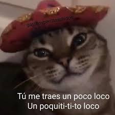 5 292 Likes 35 Comments 𝕰𝖑 𝖗𝖎𝖓𝖈𝖔𝖓 𝖉𝖊𝖑 𝖒𝖎𝖈𝖍𝖎 Rincondelmichi On Instagram You Make Me Un Poco En 2020 Memes Divertidos Memes Romanticos Meme Gato