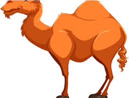 We three king cartoon comic simple cartoon manger rajasthani desert clipart we three king coloring. Cartoon Camel Png Free Cartoon Camel Png Transparent Images 93713 Pngio